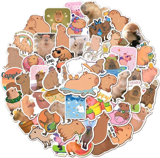 50 pieces Capybara Vinyl Stickers for Water Bottles, Laptops, Computers ...