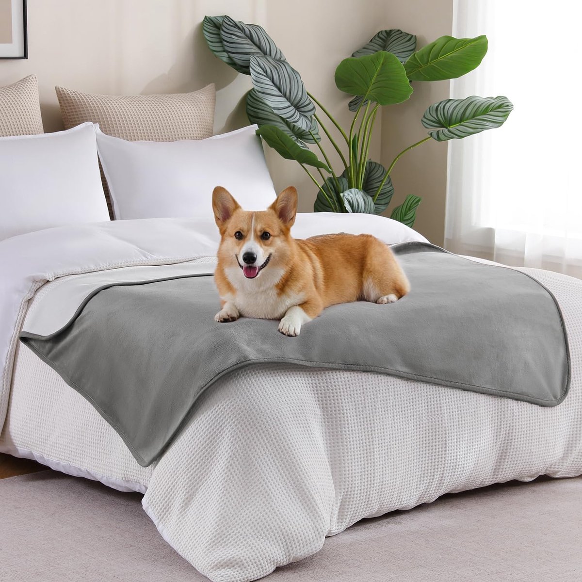 Waterproof Blanket Bed Cover 100x152cm for Adults or Pets, Grey - ShopVlot