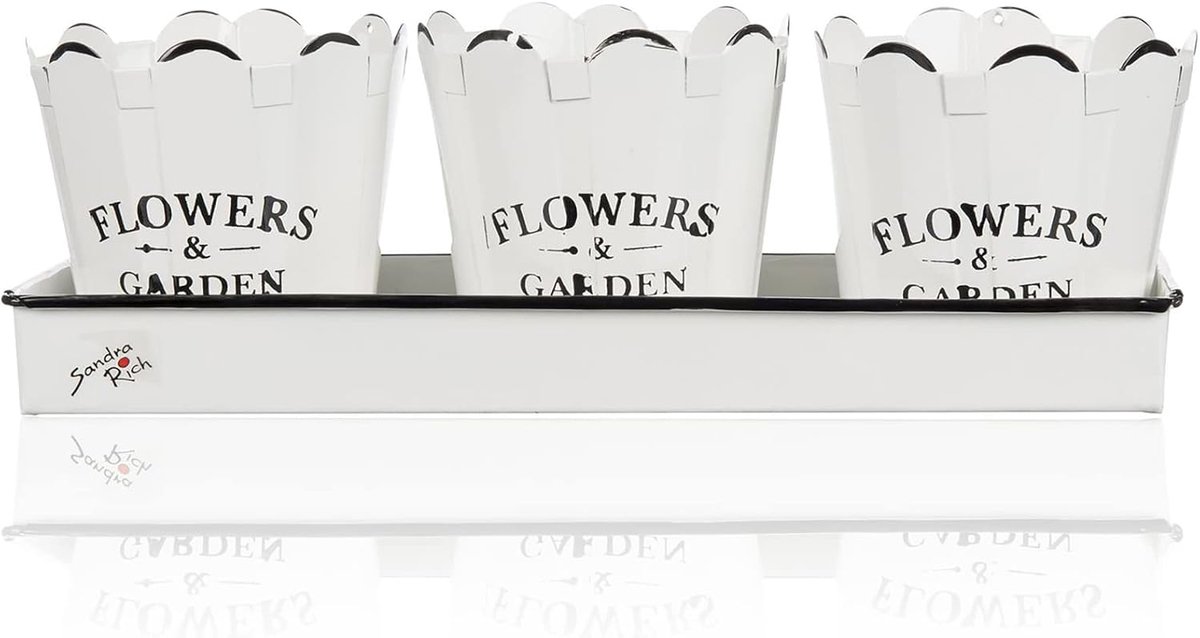 Sandra Rich Flowers & Garden Metal Trio Pot on Tray - white - 10x30x9.5cm - metal - ShopVlot