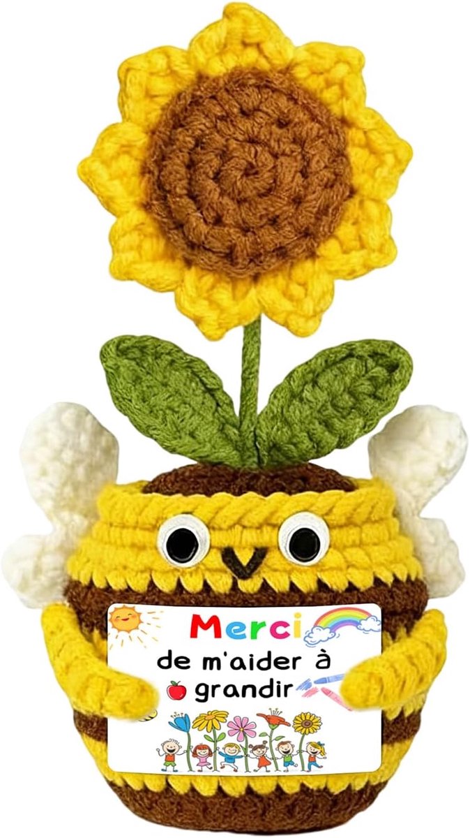 Cadeau voor schoollerares, cadeau voor beste vriendin, positieve kleine aardappel, handgemaakte zonnebloemhaak - ShopVlot
