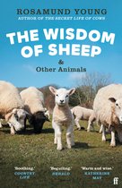 Boekomslag van 'The Wisdom of Sheep & Other Animals' met een lammetje voor een kudde schapen, met de tekst 'The Wisdom of Sheep & Other Animals'.