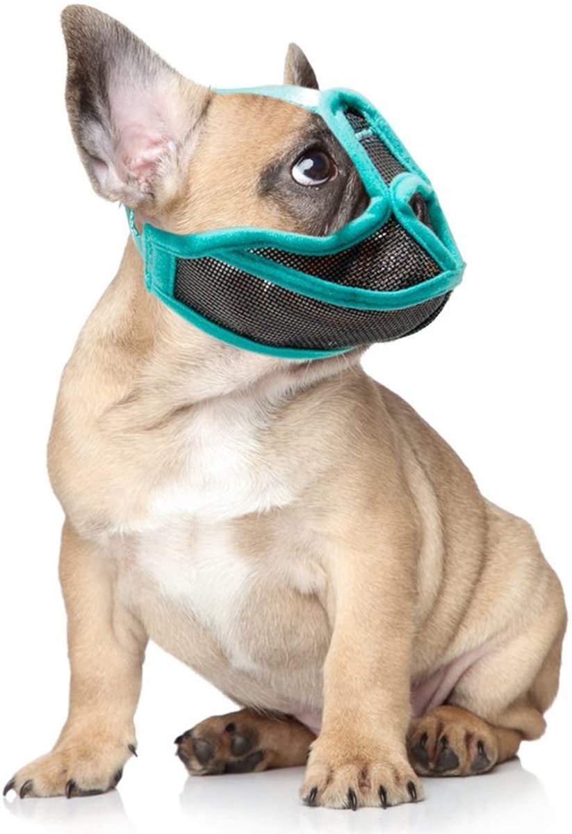 Dailygoody - Verstelbare Hond Muilkorf - Anti-Bijt Snuit - Ademend Ontwerp - Korte