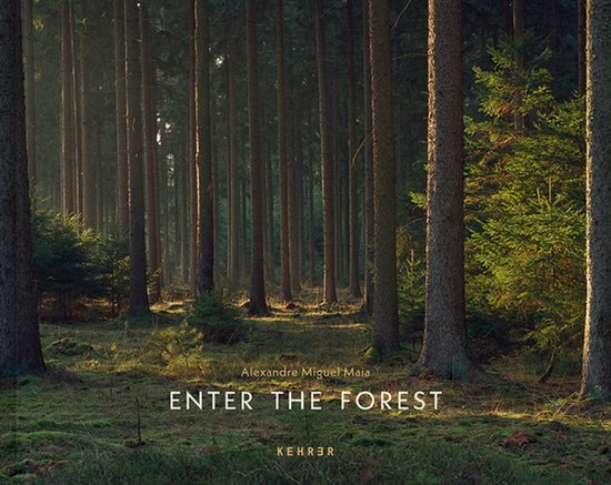 Enter the Forest