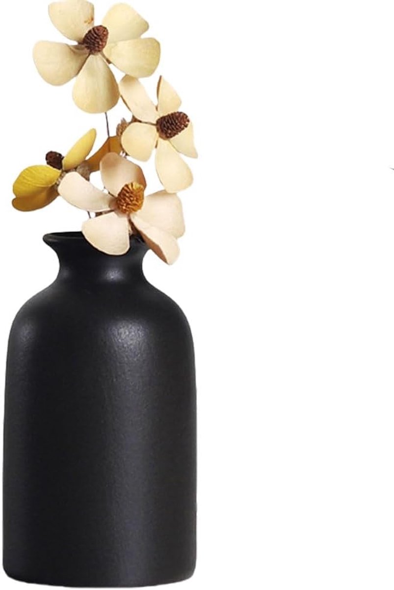 SnelShoppen - Keramische Kleine Vaas Rond voor Droogbloemen en Planten - Minimalistische Bohemian Stijl - Zwart - Moderne Decoratie voor Huis en Tafel