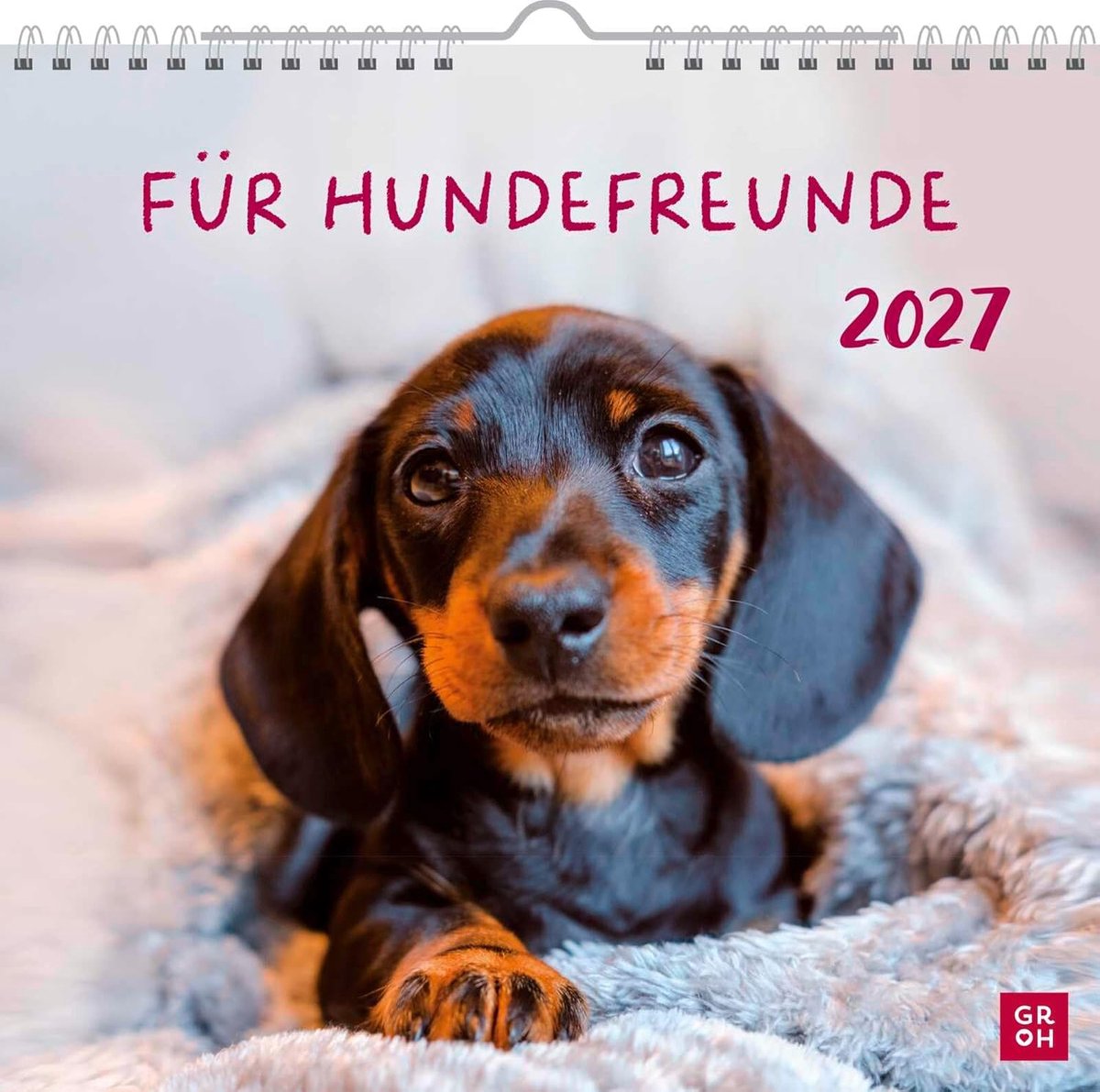SnelShoppen - Wandkalender 2027 voor Hundefreunde - Schattige Hundefotos en Inspirerende Citaten - Maandkalender voor Hondenliefhebbers - Ideaal voor
