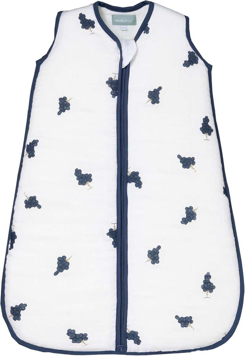 SnelShoppen - 2.5 TOG slaapzak - Gevoerde winterslaapzak voor baby's vanaf 0 maanden (60 cm) - Premium bamboe mousseline - Mouwloos - Druiven