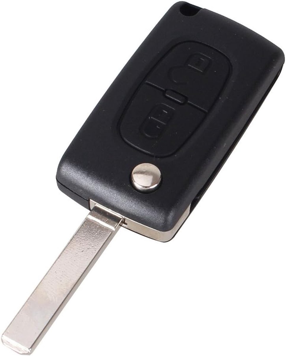 Sleutelhoes voor Peugeot 207 307 308 3008 5008 807 Expert Partner C2 C3 C4 C8 Berlingo Jumpy-CE0536-2 toetsen - Model met batterij-Plip sleuf afstandsbediening