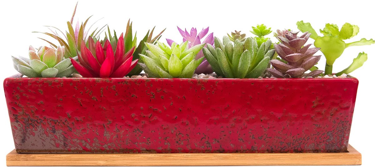 Plantenpotten, moderne lange rechthoekige bloemplantencontainers met dienblad, ondiepe cactus bonsai vensterbak met drainage voor binnen/buiten woondecoratie (rood)
