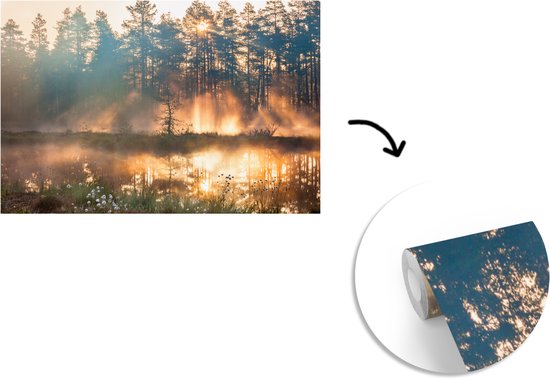 Papier Peint - Papiers Papier peint photo Lac - Soleil - Arbre - Largeur 360 cm x Hauteur 240 cm