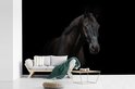 Woonkamer met fotobehang van een zwart paard achter een grijze bank met een groene deken.