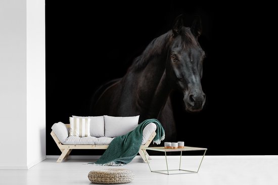 Woonkamer met fotobehang van een zwart paard achter een grijze bank met een groene deken.