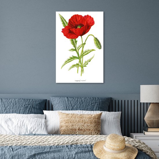Illustration Vintage d'une affiche fleur rouge papier 40x60 cm - Tirage photo sur Poster (décoration murale salon / chambre) / Poster Fleurs
