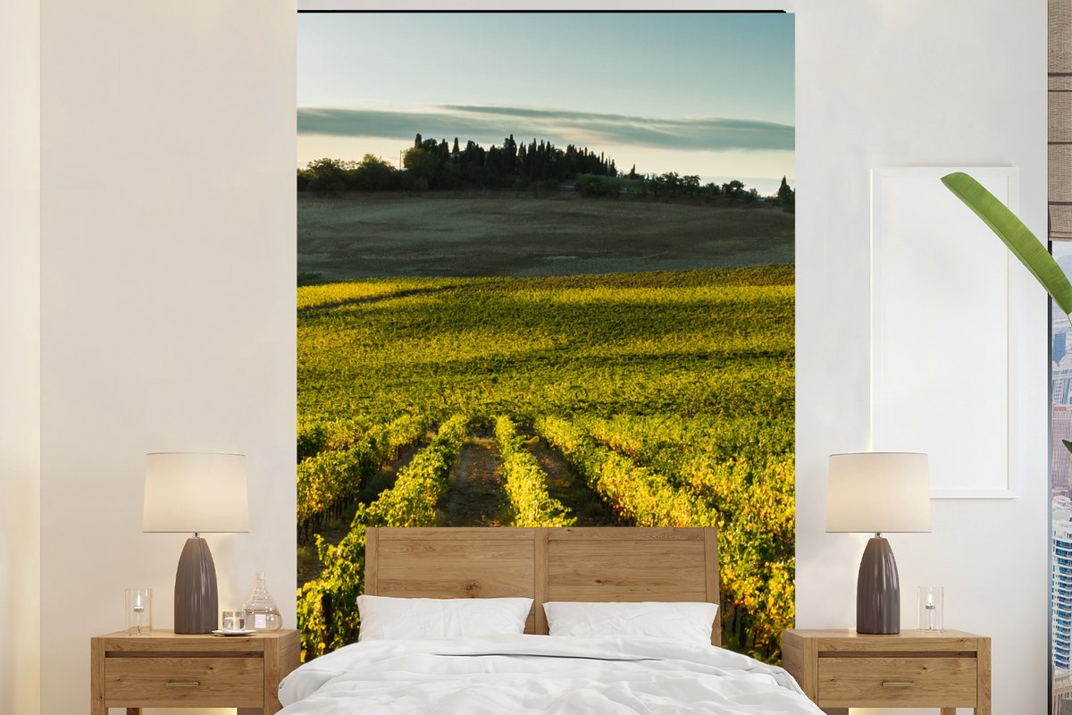 Behang - Fotobehang Toscane - Landschap - Wijn - Breedte 145 cm x hoogte 220 cm
