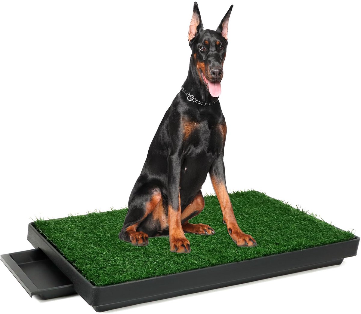 SnelShoppen - Hondentoilet met Kunstgras 76 x 51 cm - Wasbaar Puppytoilet Plasmat - Herbruikbare Trainingsmat voor Middelgrote Honden - Ideaal voor Bi