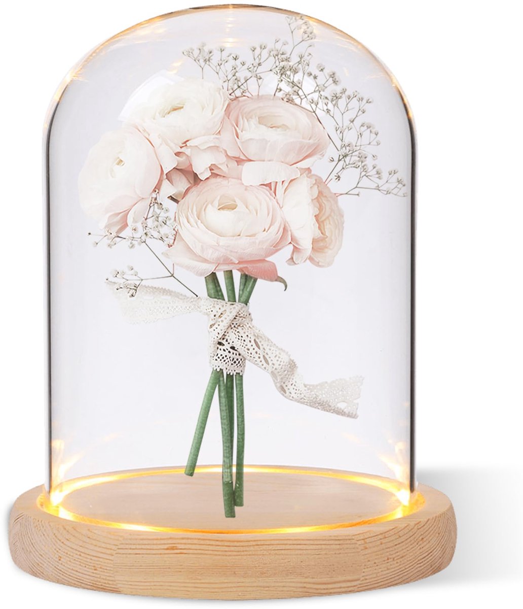 SnelShoppen - Glazen Koepel met Houten Sokkel 12 x 16 cm - Decoratieve Glazen Vitrine voor Lamp, Kaars, Roos en Antiek - Perfect voor Feest, Tuin en I