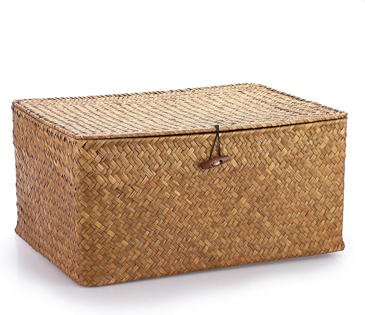Vierkante Wicker Opbergmand met Deksel voor Badkamer en Woonkamer - Multifunctionele Decoratieve Mand voor Onder de Plank, XL Formaat 40 x 11 x 19 cm, Ideaal voor Organiseren en Opslaan