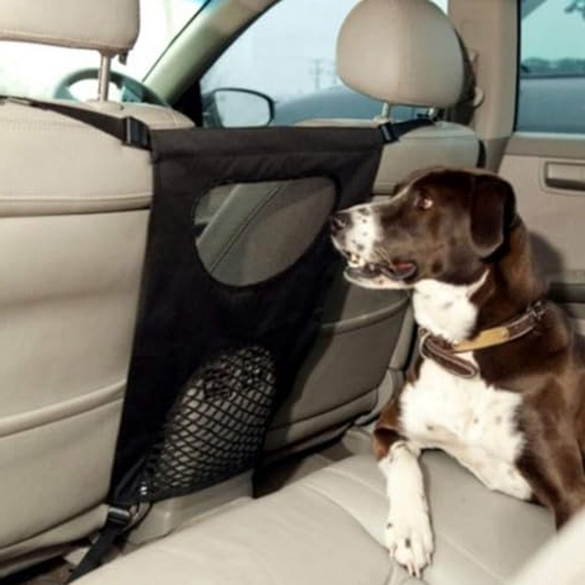 Honden Autonet - Veiligheidsnet Auto - Veilig Reizen - Scheidingsnet - 71 x 45 cm - Zwart