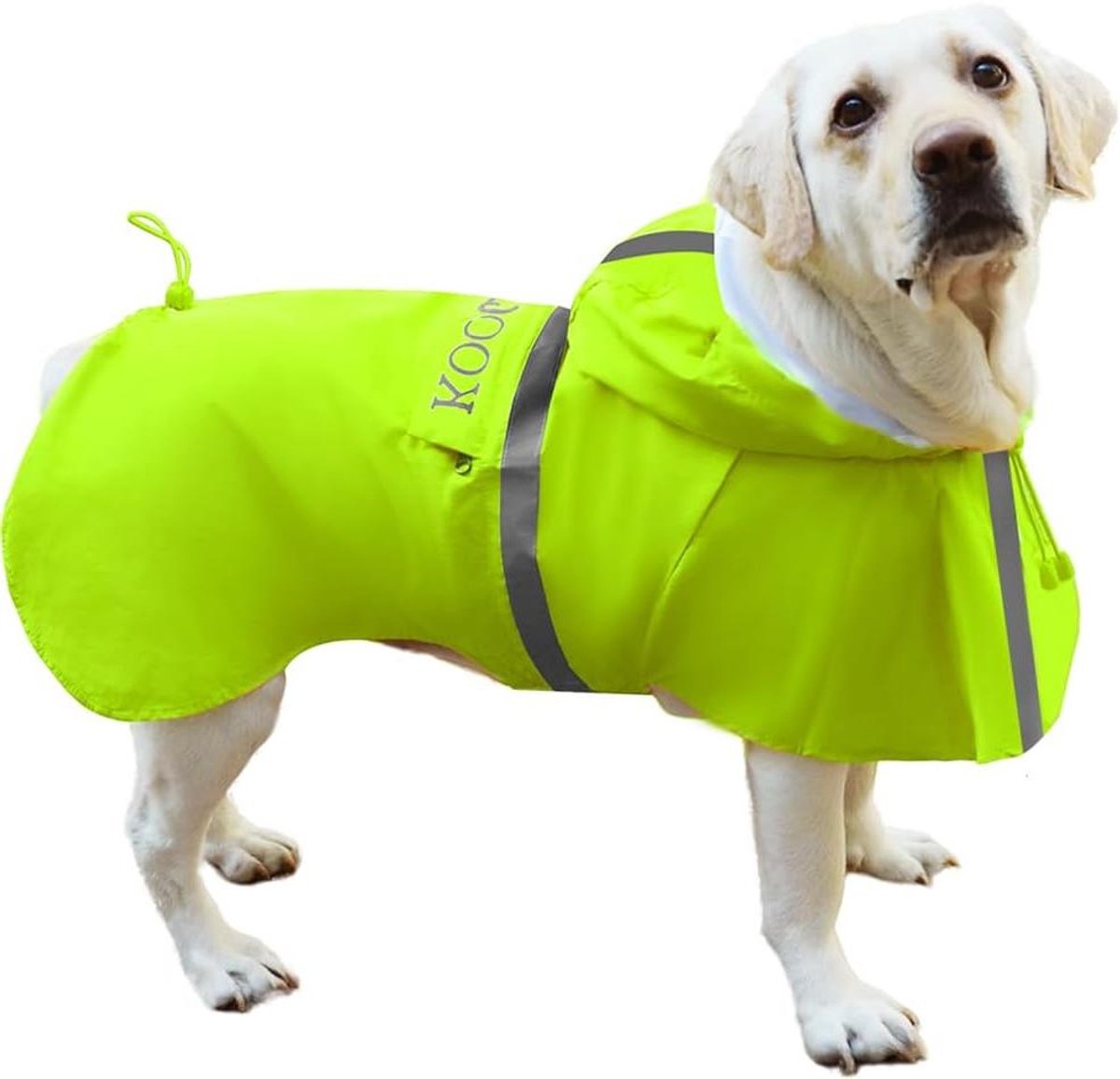 Honden Regenjas - Hondenjas Poncho - Hond Droog Houden - Reflecterende Veiligheidsstrips - 6XL - Fluo Groen