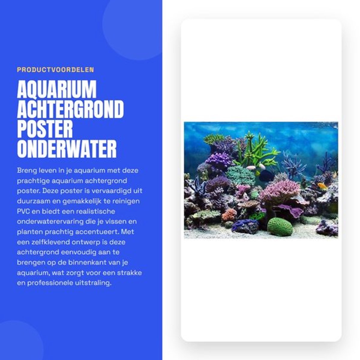 Aquariumachtergrond PVC - Onderwater Koraalrif - Zelfklevend - Duurzaam - Makkelijk te reinigen - Afmeting 76 x 30 cm - Aquariumdecoratie