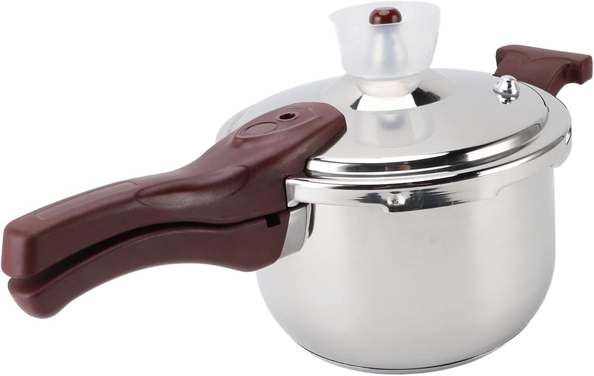 Drukpan Grote Capaciteit - Snelkookpan RVS - Snel Koken - Robuuste Constructie - 9L - Zilver