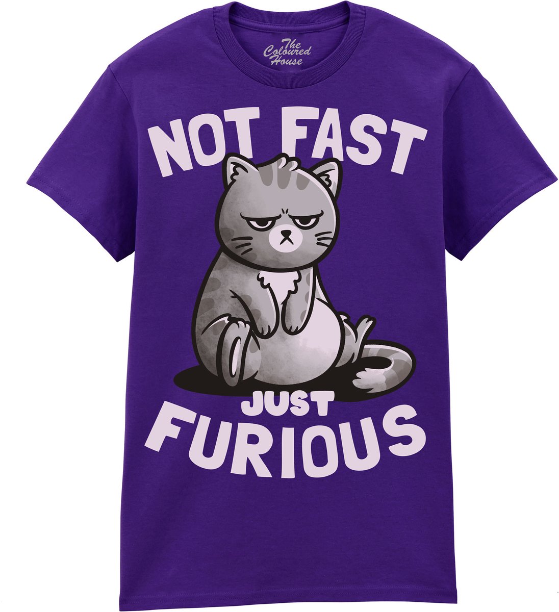 Kat Not Fast Just Furious The Coloured House T-shirt L