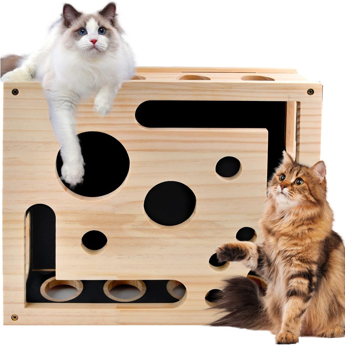 Voerpuzzel voor kat - Hout - Interactieve krabpuzzel met schuurpapier - Voor binnenkatten