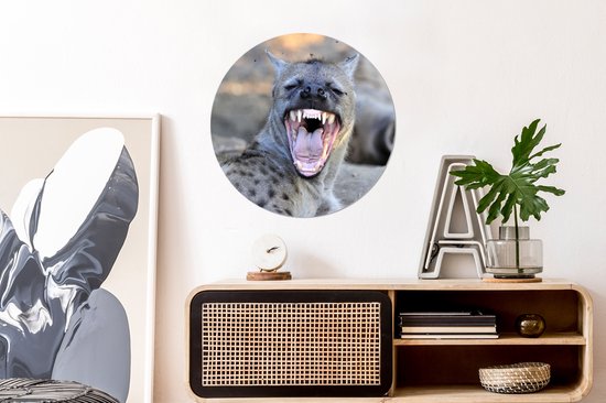 Une hyène bâillante en Afrique Cercle mural aluminium ⌀ 60 cm - impression photo sur cercle mural / cercle vivant / cercle de jardin (décoration murale)