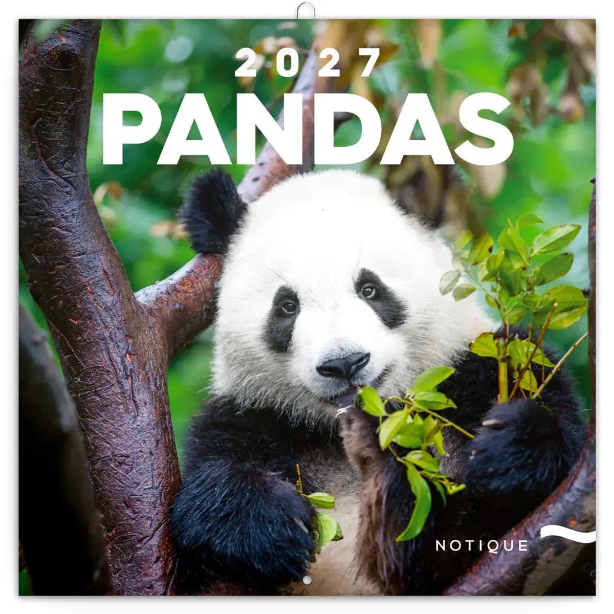 Panda Kalender 2027