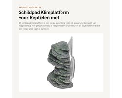 Dailygoods - Schildpad Klimplatform voor Reptielen met Zuignap