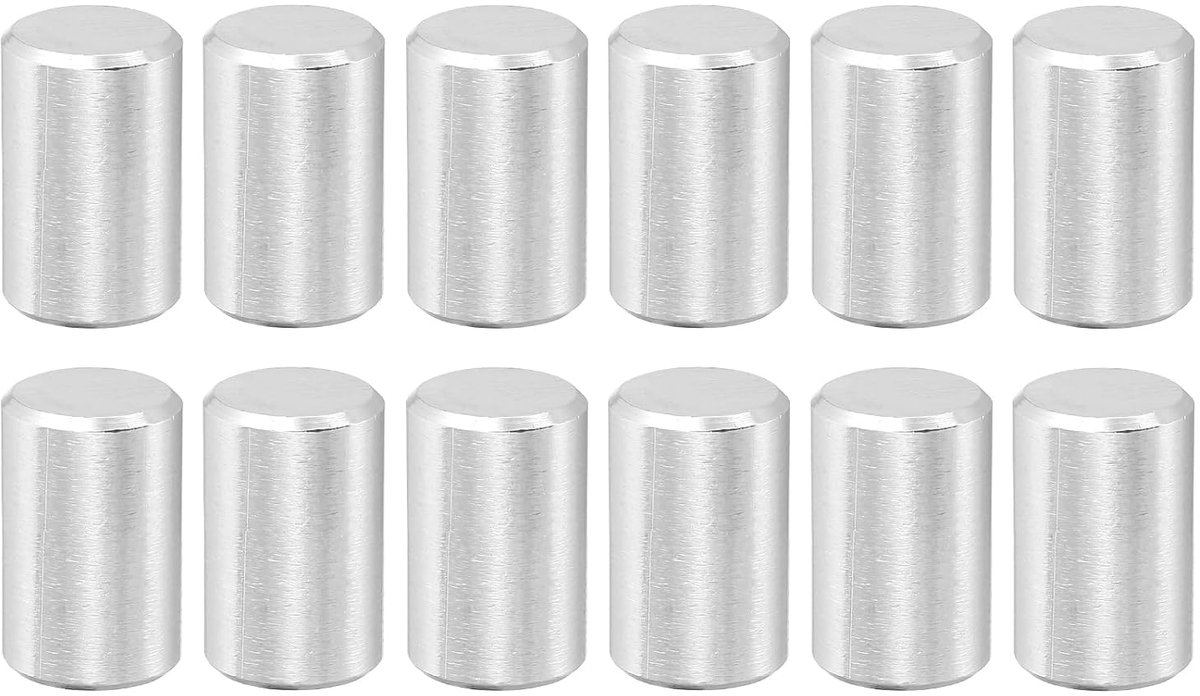 12 stuks 10 x 10 mm 316 roestvrij staal cilindrische stekkers, plankhouder bevestigingselementen voor machinebouw, meubelinstallatie, projecten, kleur zilver
