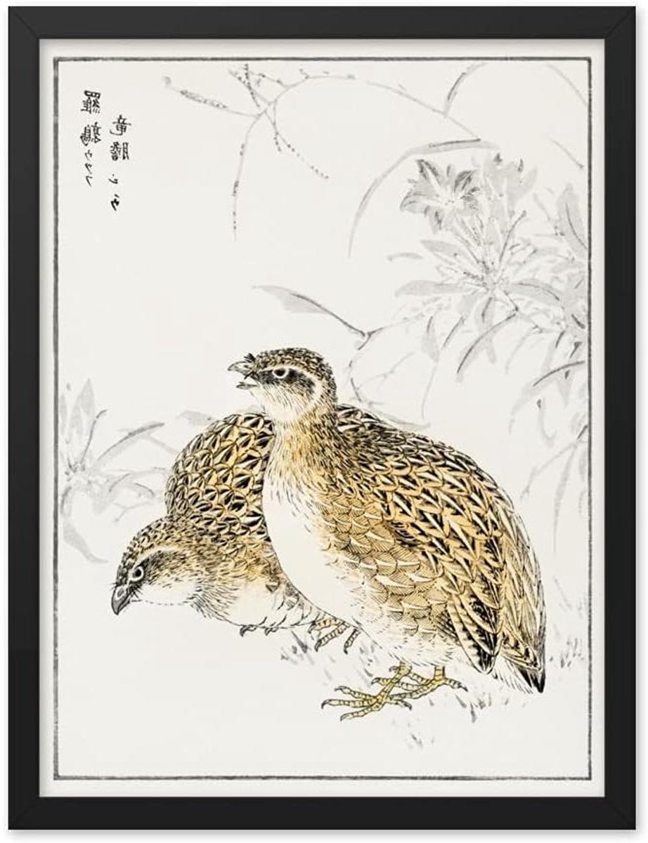 Japanse Kwartel Gentiaan - Houtsnede Illustratie Vogel - Wanddecoratie Kamer - Antiek Vintage Stijl - 18x24 inch - Kleurrijk
