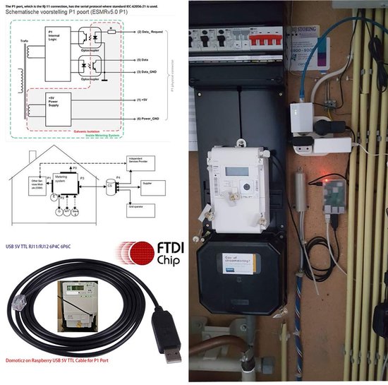 Domotica op Raspberry DSMR Nederlandse P1-poort, kabel voor slimme meter met FTDI Chip 5v TTL UART Logic Level-signalen USB naar RJ11 RJ12 6P6C-poort (voor ISKRA AM550/Sagemcom XS210 T210-D) — afbeelding 3