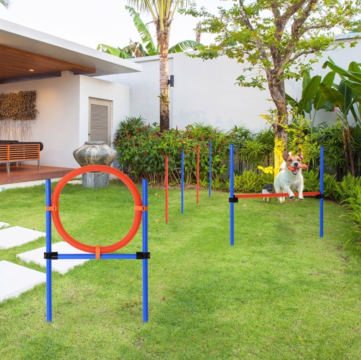 REDOM - Agility trainingsset voor honden - Verstelbare hoogte - Horde, slalom en springring - Draagtas - Polyethyleen - Blauw - 86 cm