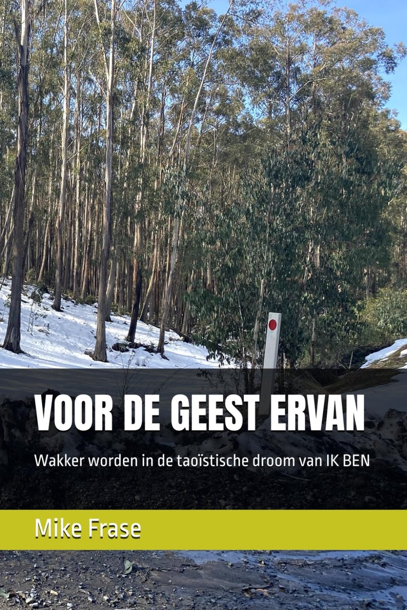 VOOR DE GEEST ERVAN: Wakker worden in de taoïstische droom van IK BEN