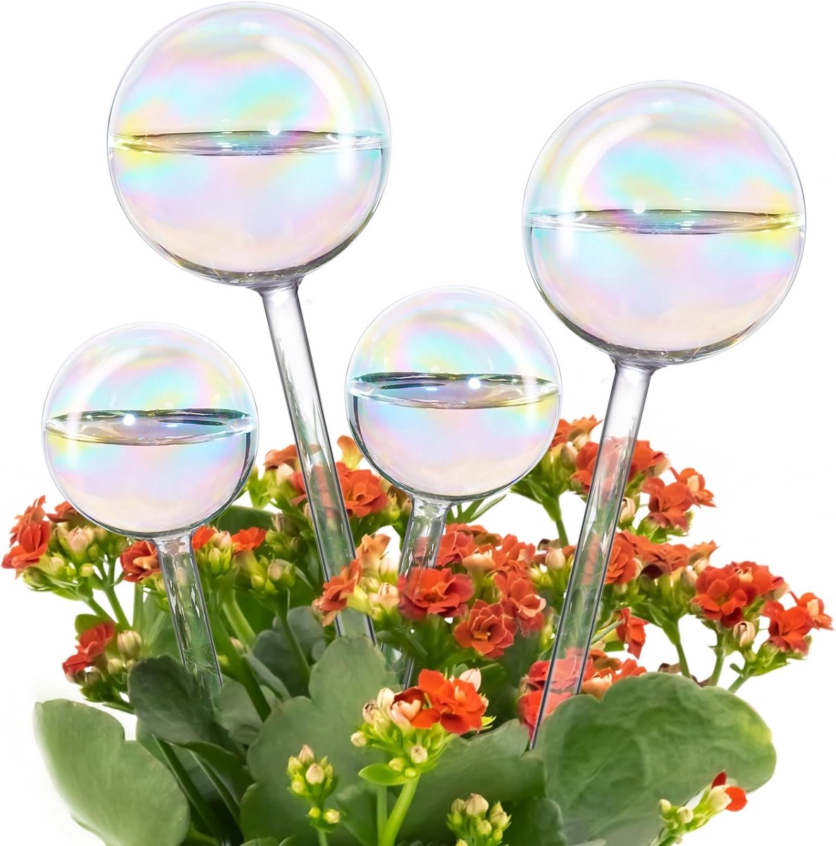 Iridescente glazen zelfbewaterende bollen 4-pack (2 groot + 2 klein), decoratieve handgeblazen regenboog glazen waterbolletjes, automatische irrigatie voor binnen- en buitenplanten