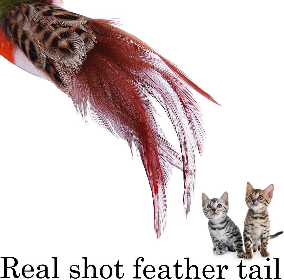 Kattenspeelgoed realistische vogel kitten achtervolging bengelend speelgoed zachte veer handgemaakte imitatie mus simuleer papegaai stimuleert huisdierinstincten (groen)