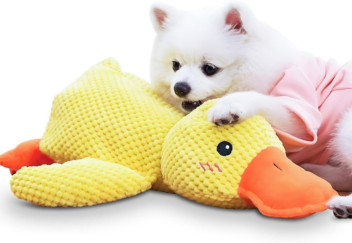 Eend Hond, 2025 Nieuw Hondenspeelgoed Eend, Klinkend Pluimveespeelgoed, Interactief Speelgoed voor Honden, Pluimvee Geluidsspeelgoed voor Honden-L