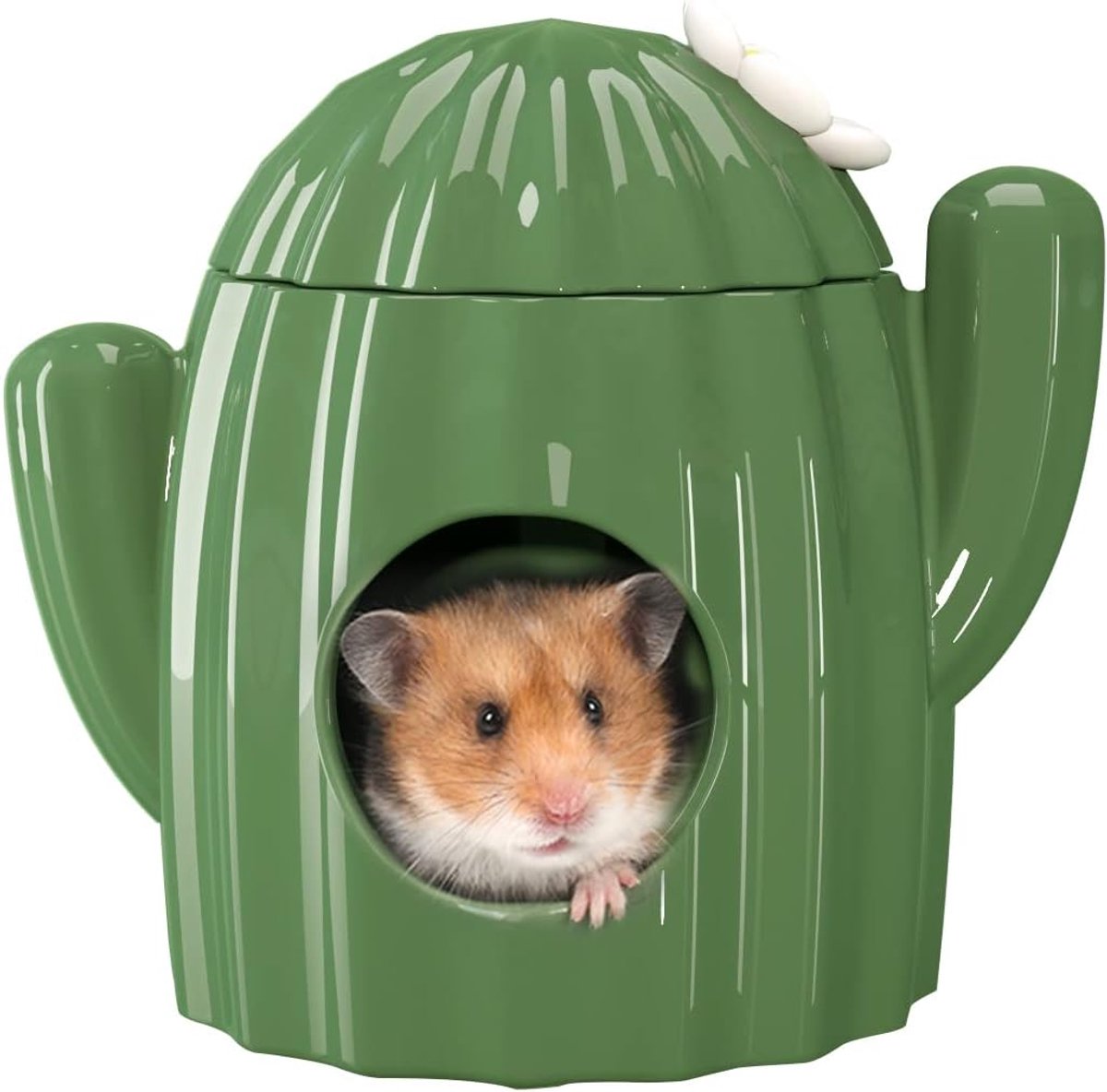 Cactus Keramisch Nest voor Hamsters - Large