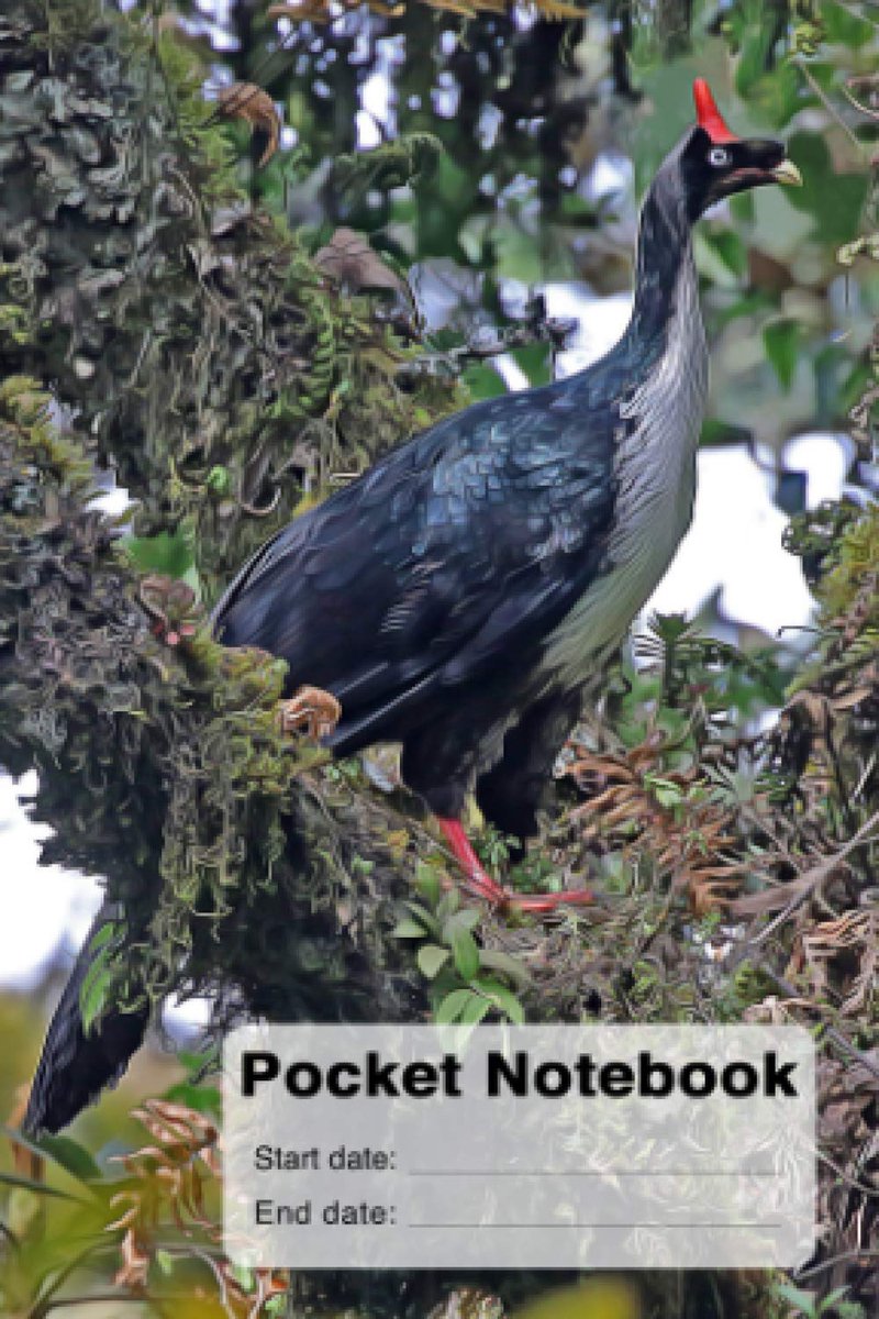 Guan Pocket Notebook