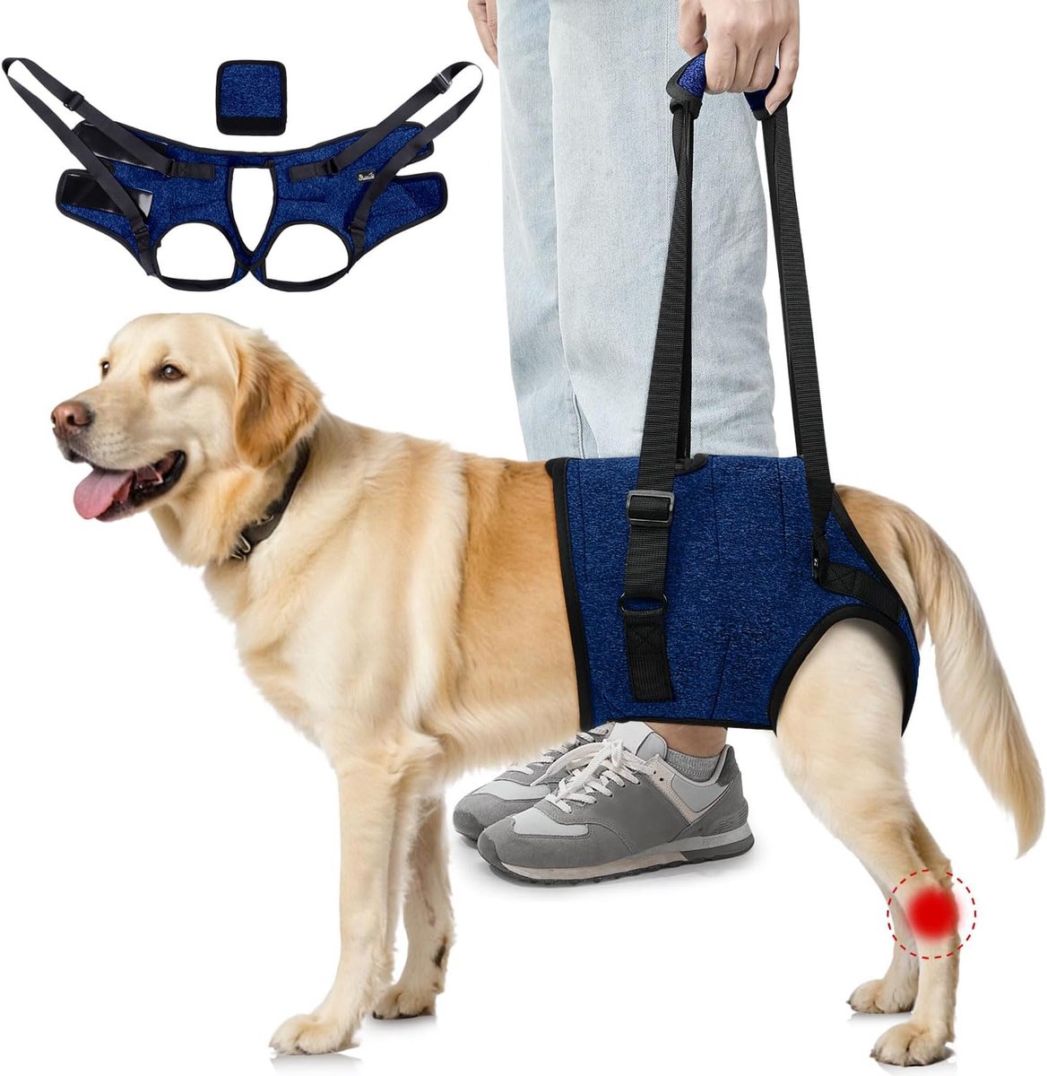 Achterpootondersteuningsharnas Sling voor Honden van Gemiddelde Grootte - Regelbaar Comfortabel Hondenliftharnas voor Ouderen, Gewonde, Artritische, Gehandicapte (Blauw, L)
