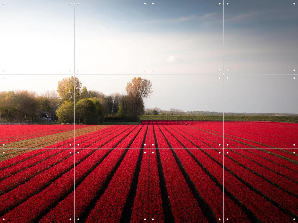 IXXI Red Fields of Spring, Claire Droppert - 80 x 60 cm - Gratis ophangtool - Grote wanddecoratie en posters - Fotografie, Eetkamer, Trap, Gang