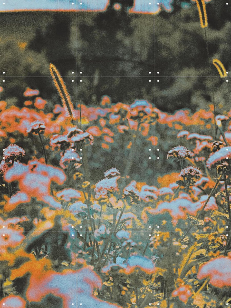 IXXI How Sweet It Is, Amber Lauder - 60 x 80 cm - Gratis ophangtool - Grote wanddecoratie en posters - Modern, Gemengde Technieken, Woonkamer, Trap