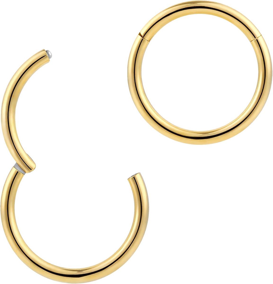 365 SLEEPERS 2 stuks roestvrij staal 16G Unisex scharnierende hoepel segment lip neusring Helix tragus septum sleeper oorbellen 6mm - 16mm