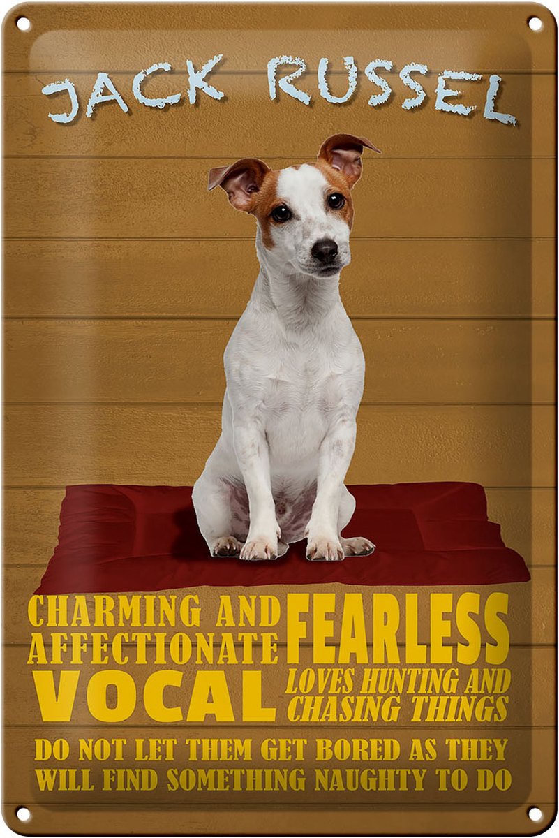 Blechschild Spruch 20x30cm Jack Russel Hund charming