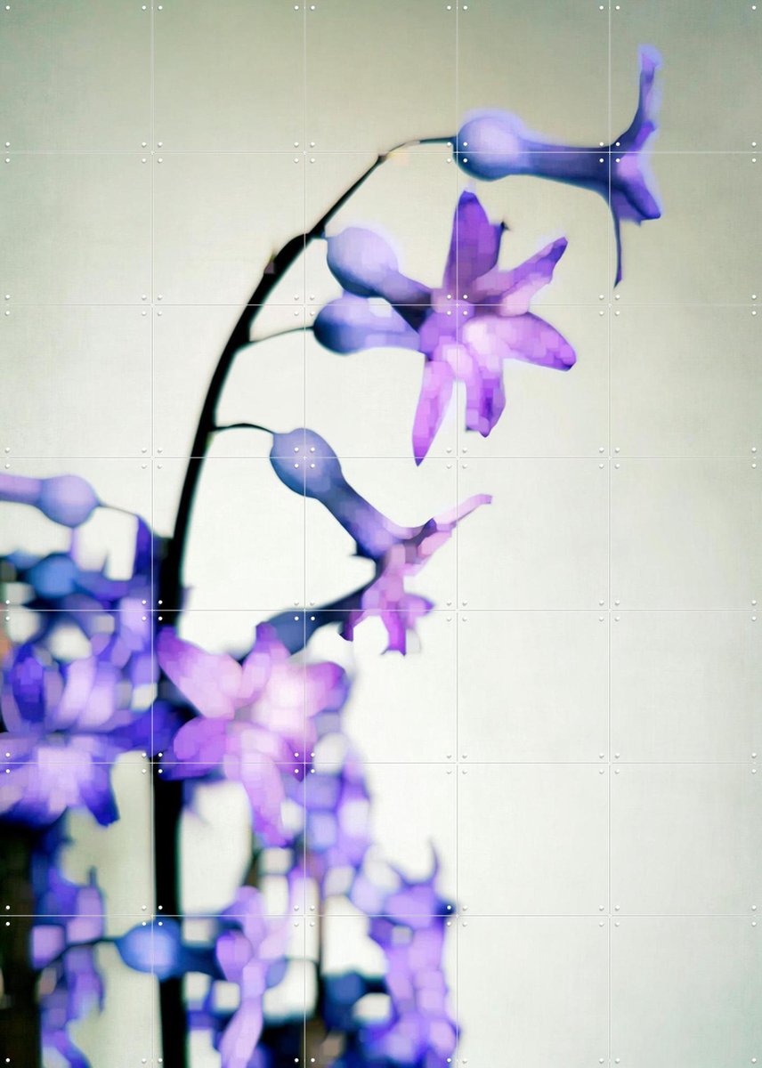IXXI Hyacinth, Angelo Cerantola - 100 x 140 cm - Gratis ophangtool - Grote wanddecoratie en posters - Fotografie, Slaapkamer, Woonkamer, Bloemen
