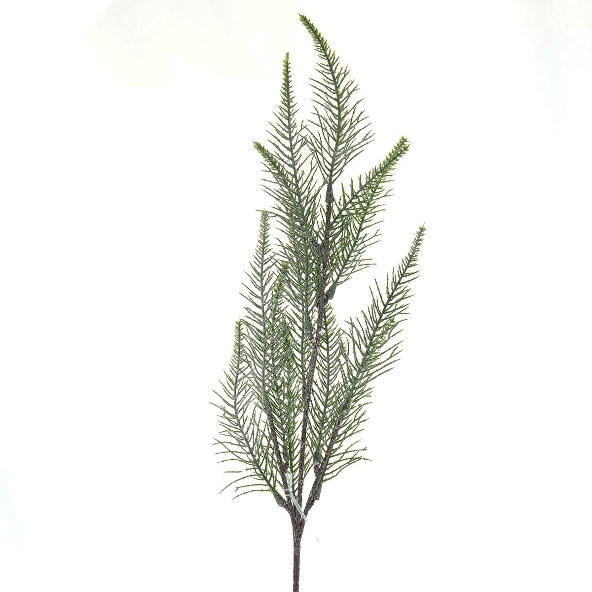 Gasper Kerstdecoratie Varentak Groen besneeuwd 50 cm - Kunstplanten