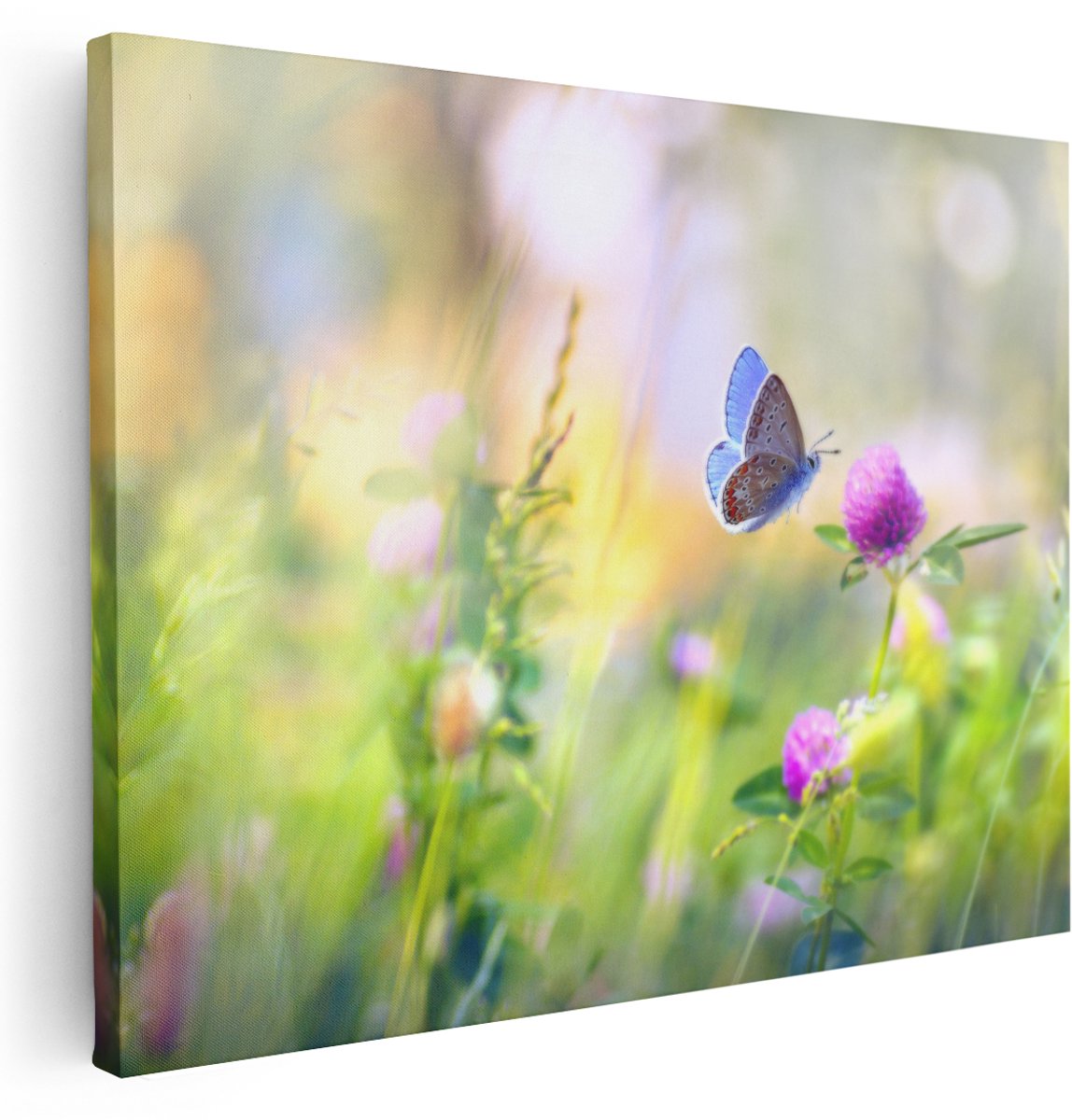 Artaza Canvas Schilderij Blauwe Vlinder Bij Een Paarse Bloem - 160x120 cm - Groot - Wanddecoratie Woonkamer - Schilderijen - Muurdecoratie