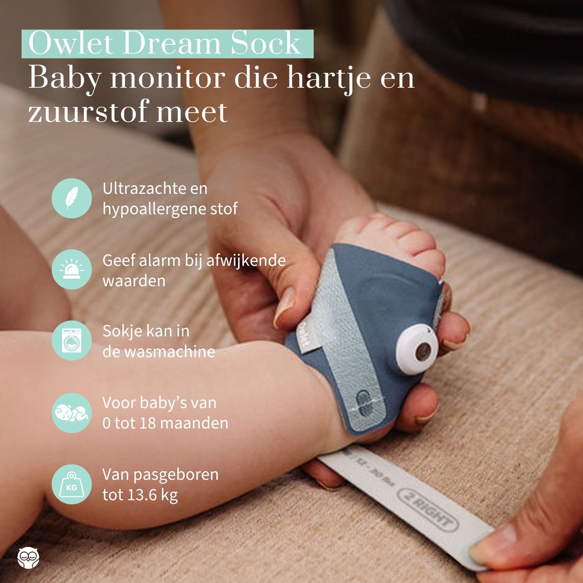 Owlet Baby Care, Owlet Dream Duo Baby - afbeelding 2