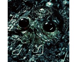 King Gizzard & The Lizard Wizard - Alien Metal (LP)