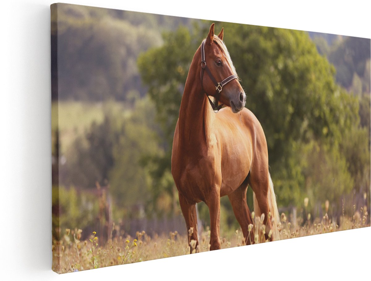 Artaza Canvas Schilderij Bruin Paard In De Wei - 180x90 cm - Groot - Wanddecoratie Woonkamer - Schilderijen - Muurdecoratie